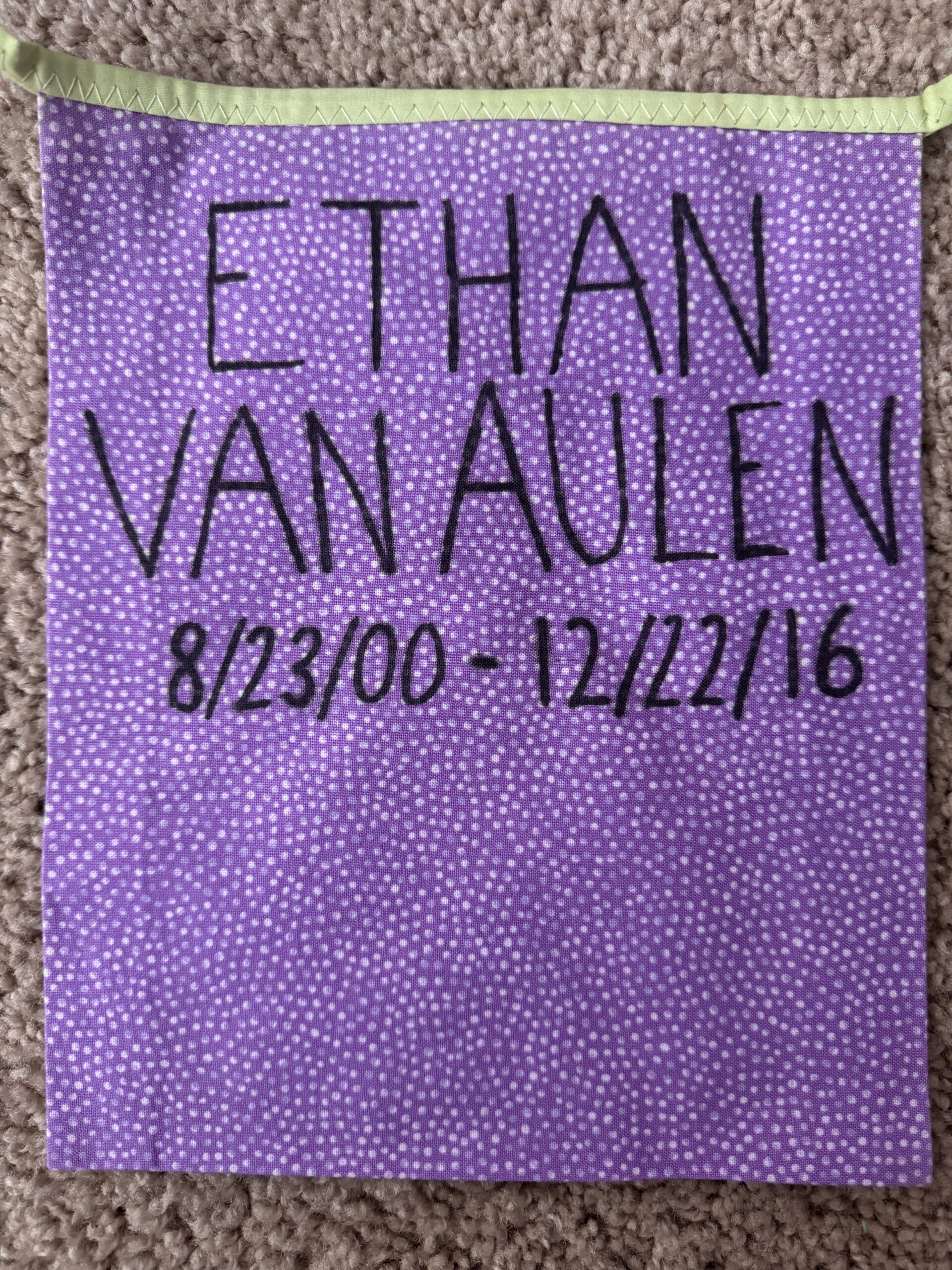 Ethan-Van-Aulen-Pennant-scaled-1