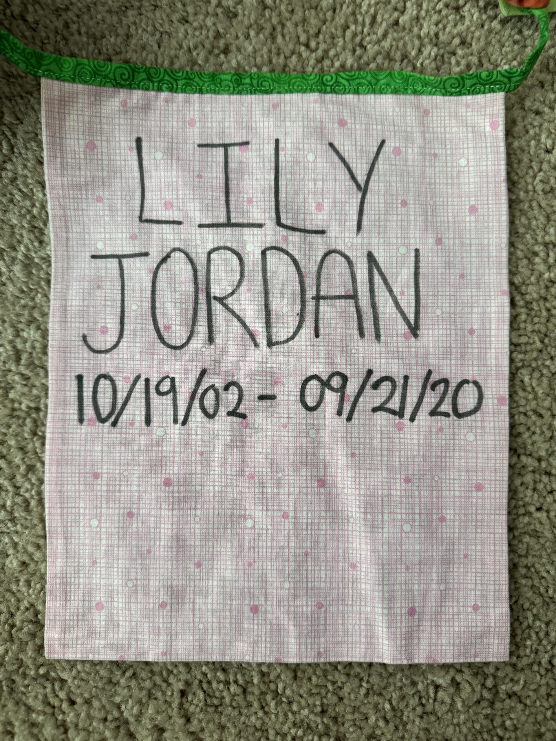 Lily-Jordan-Pennant-scaled-1