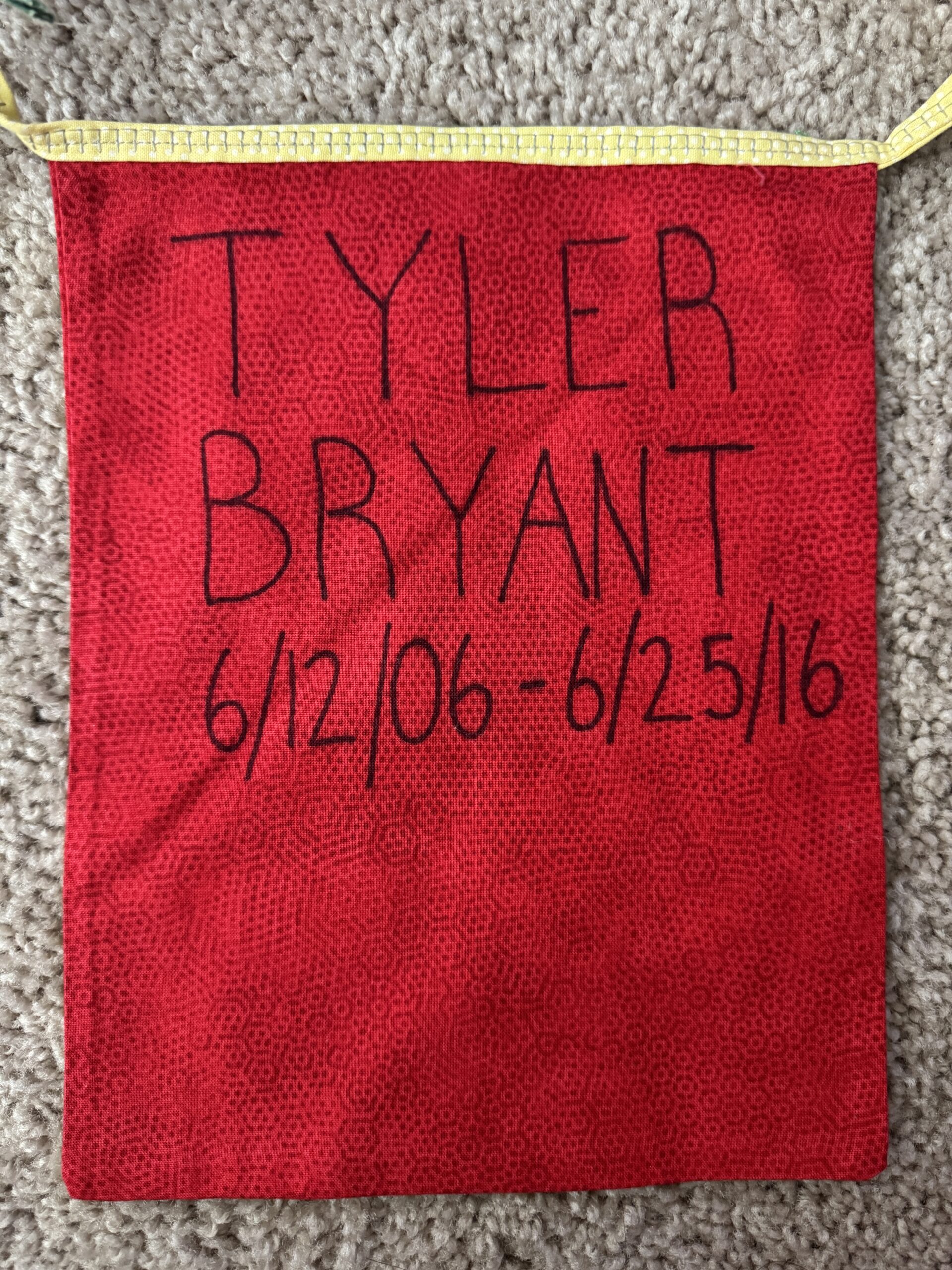 Tyler-Bryant-Pennant-scaled-1