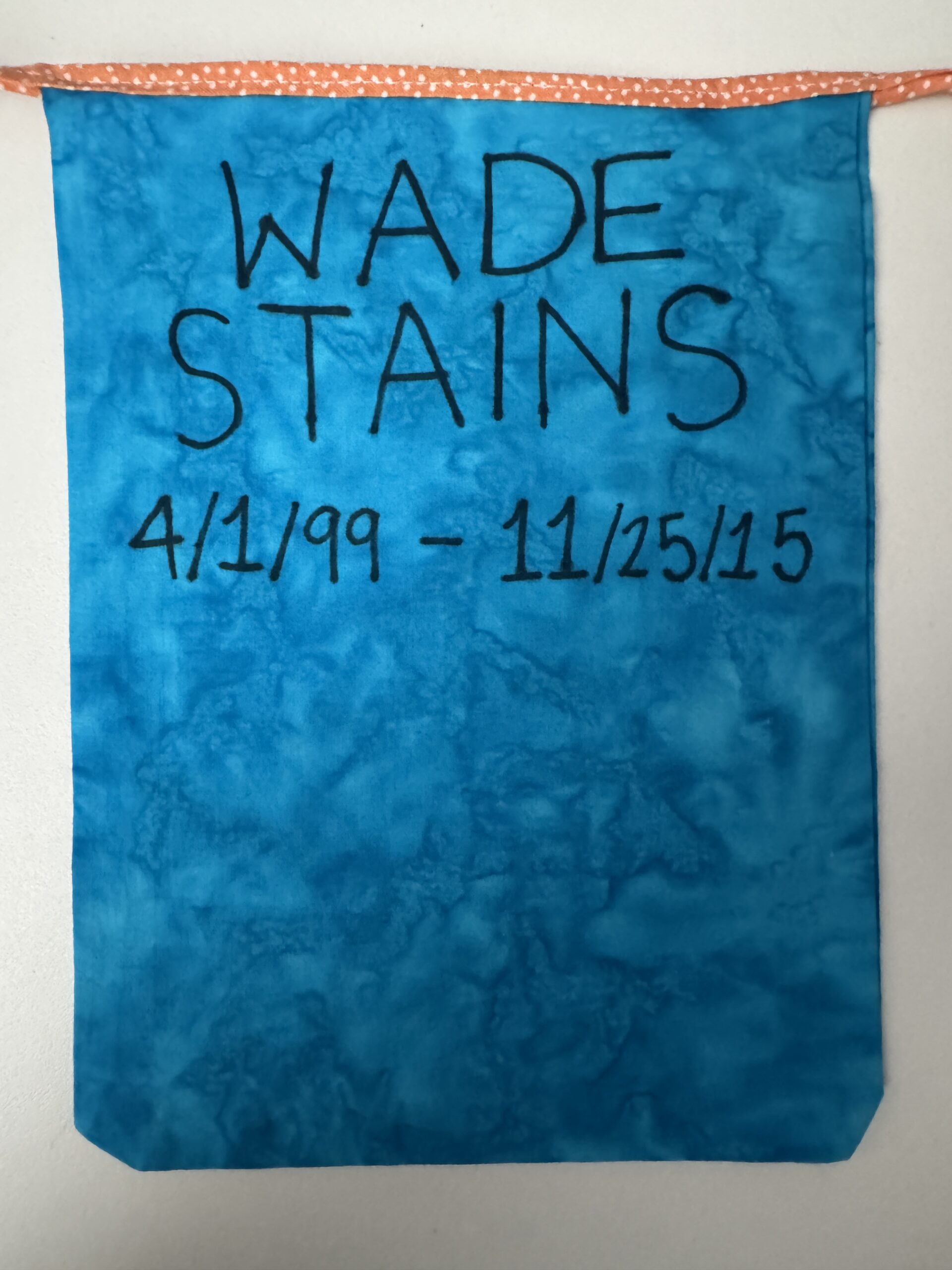 67.-Wade-Stains